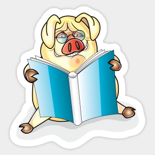 Pig Reading A Book Sticker